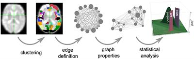 On the Extraction and Analysis of Graphs From Resting-State fMRI to Support a Correct and Robust Diagnostic Tool for Alzheimer's Disease